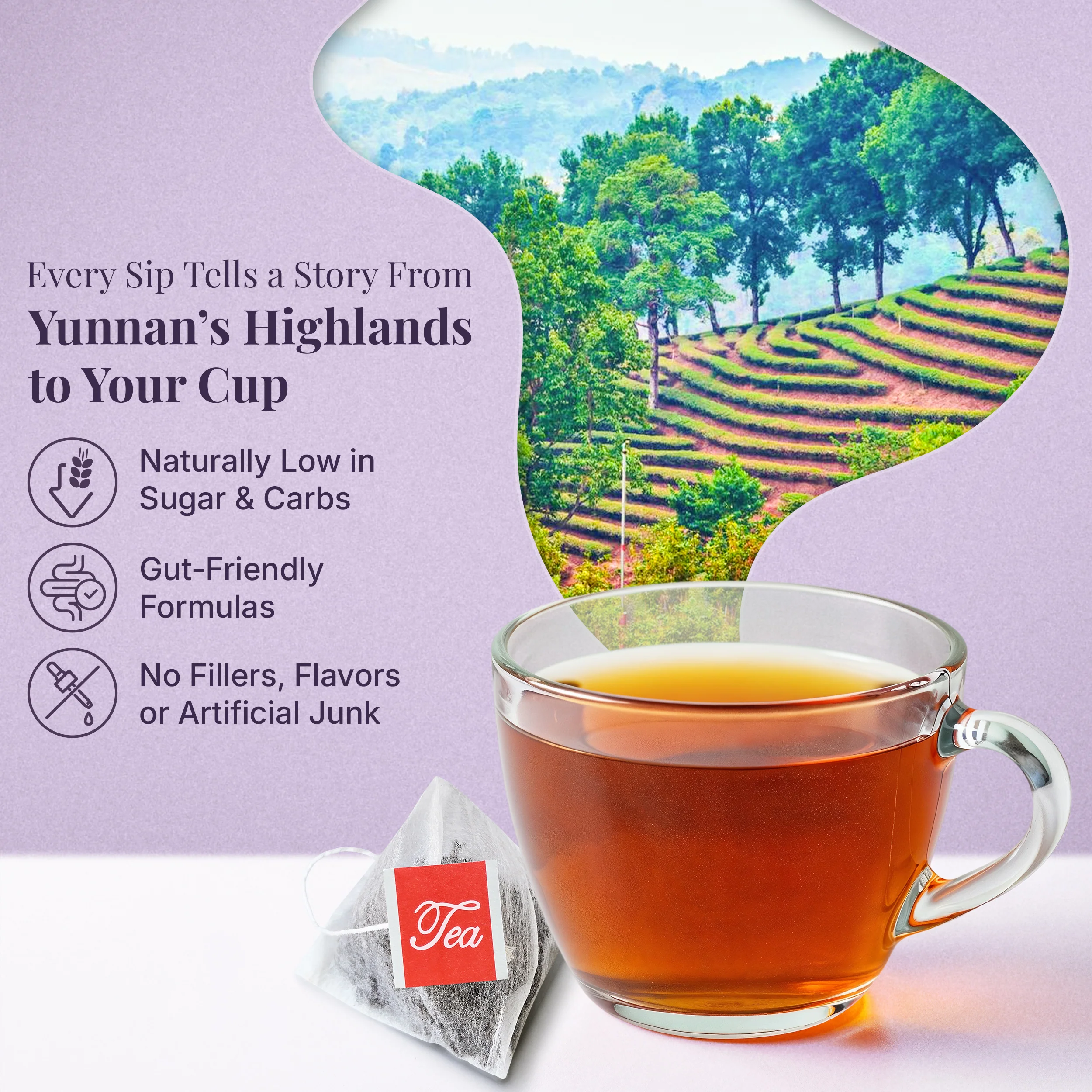 5x PiPi Tea Organic Tea Bags | Tea Leaves From Pu'er | Non GMO, Gluten Free, Naturally High Grown | Whole Loose-Leaf Tea Bags Beverage - Image 3